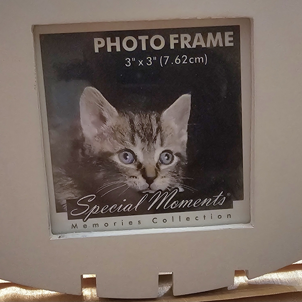 Fish-Shaped Photo Frame - Picture 2 of 3